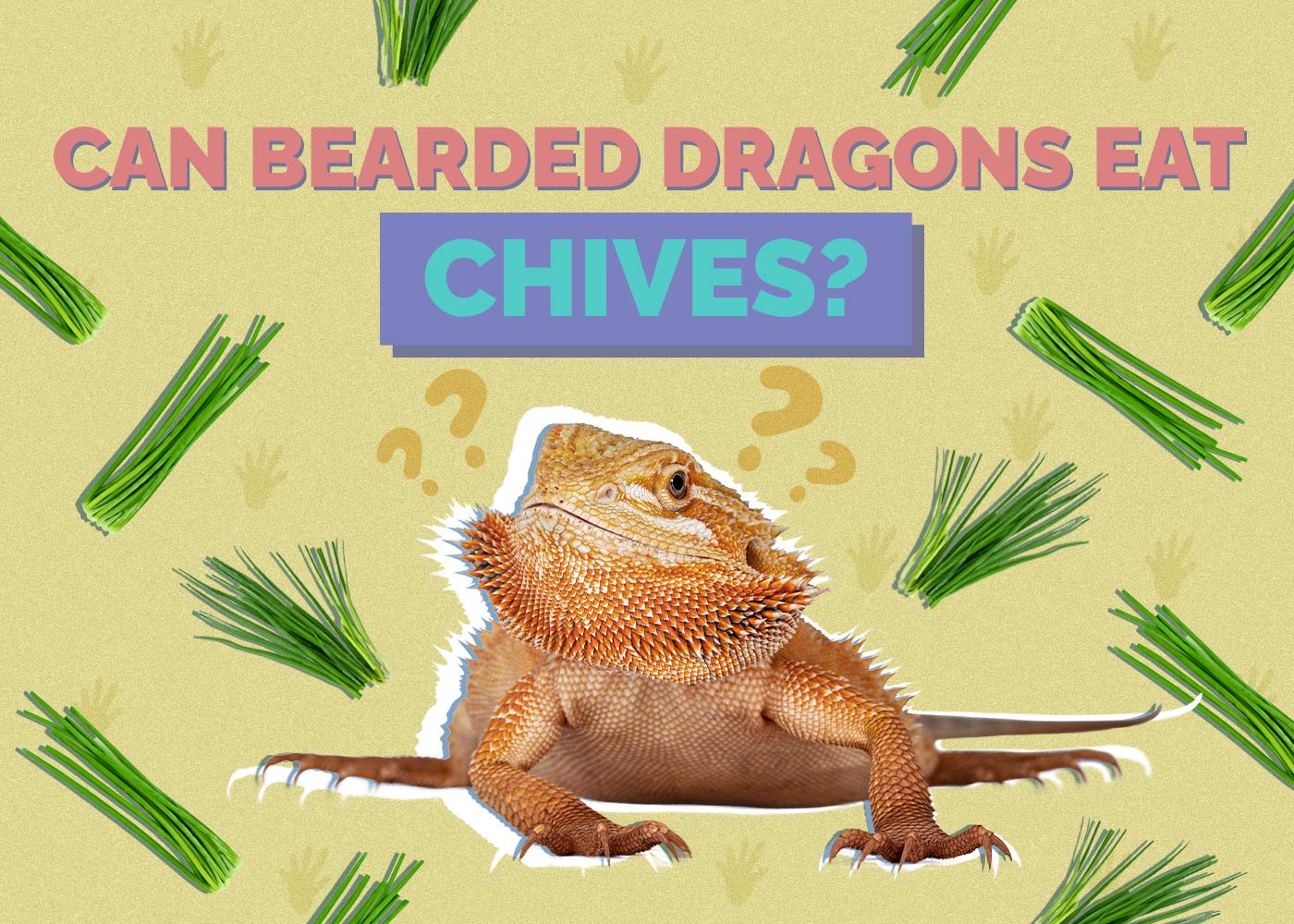 Can Bearded Dragons Eat Chives? Our Vet Answers