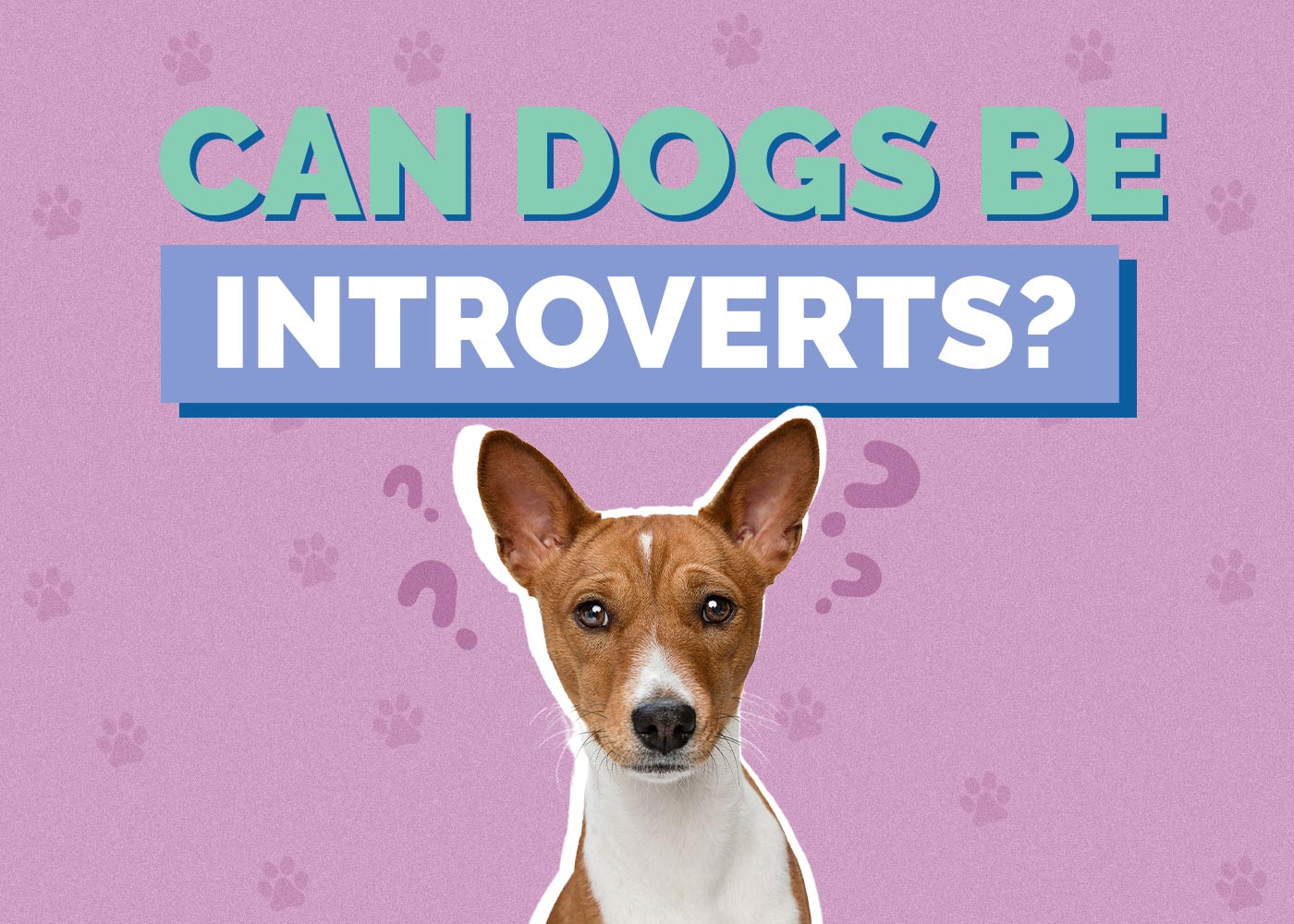 Can Dogs Be Introverts? Vet-Approved Facts & FAQ