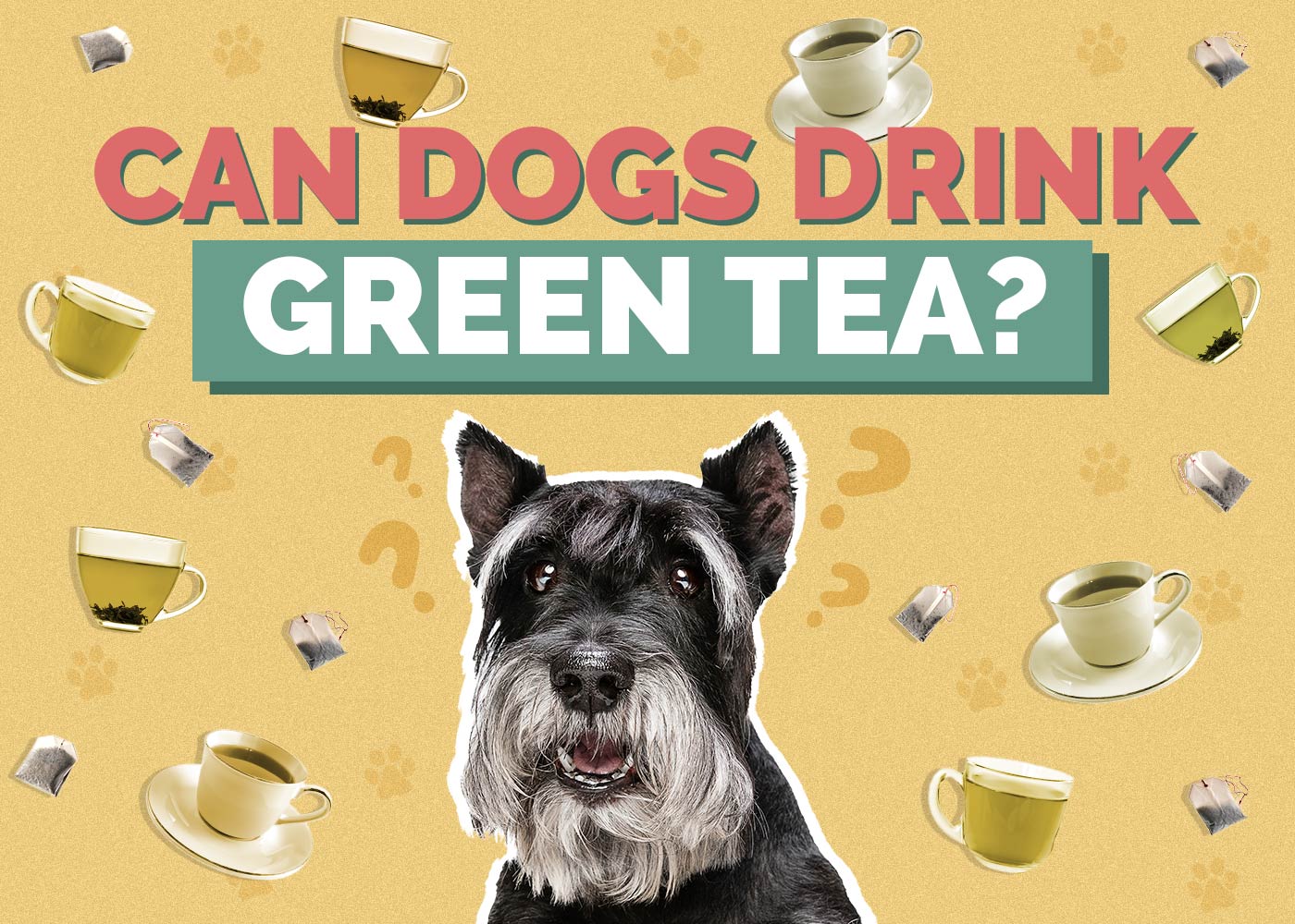 Can Dogs Drink Green Tea? Vet-Reviewed Health Concerns