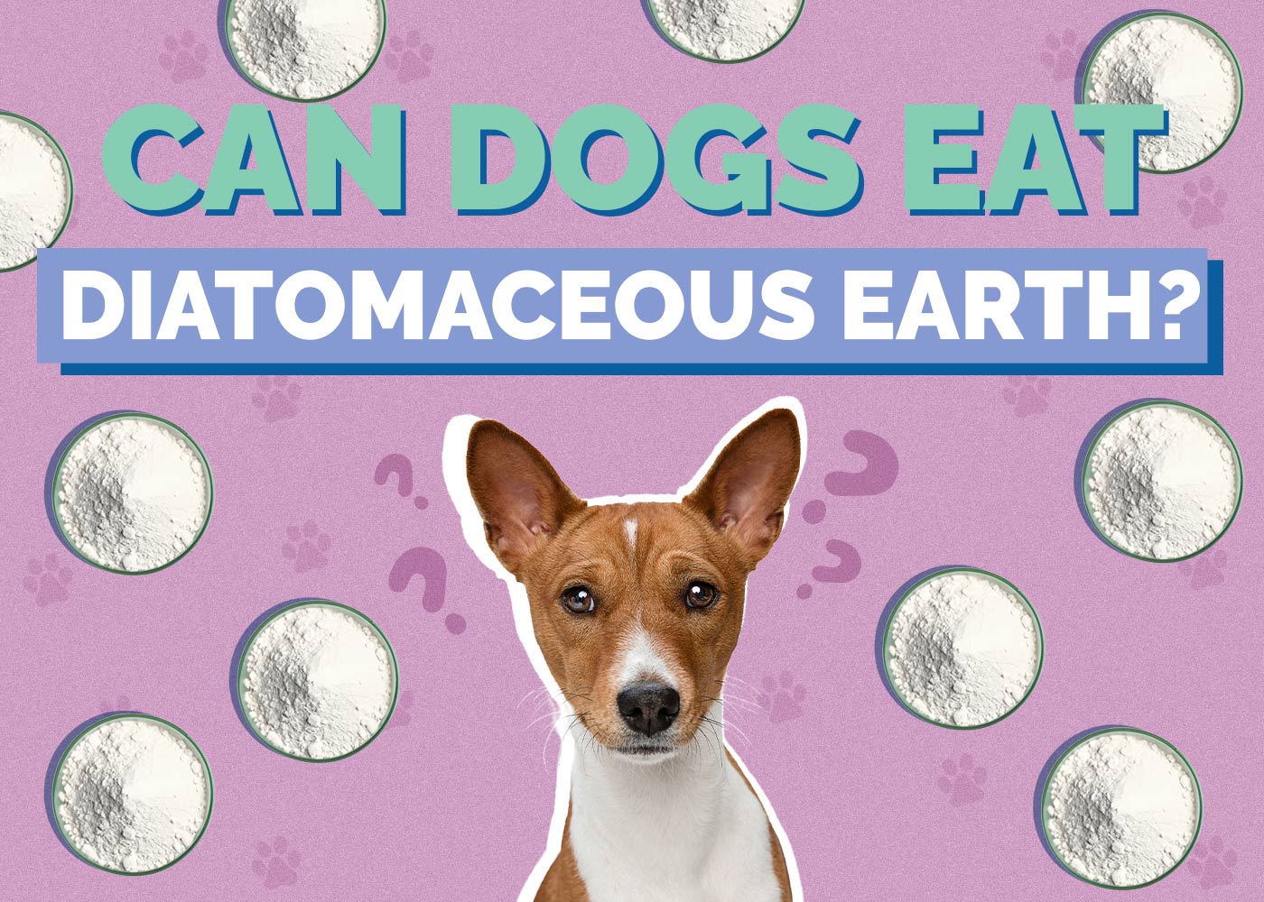 Can Dogs Eat Diatomaceous Earth? Vet Reviewed Health Concerns & Advice