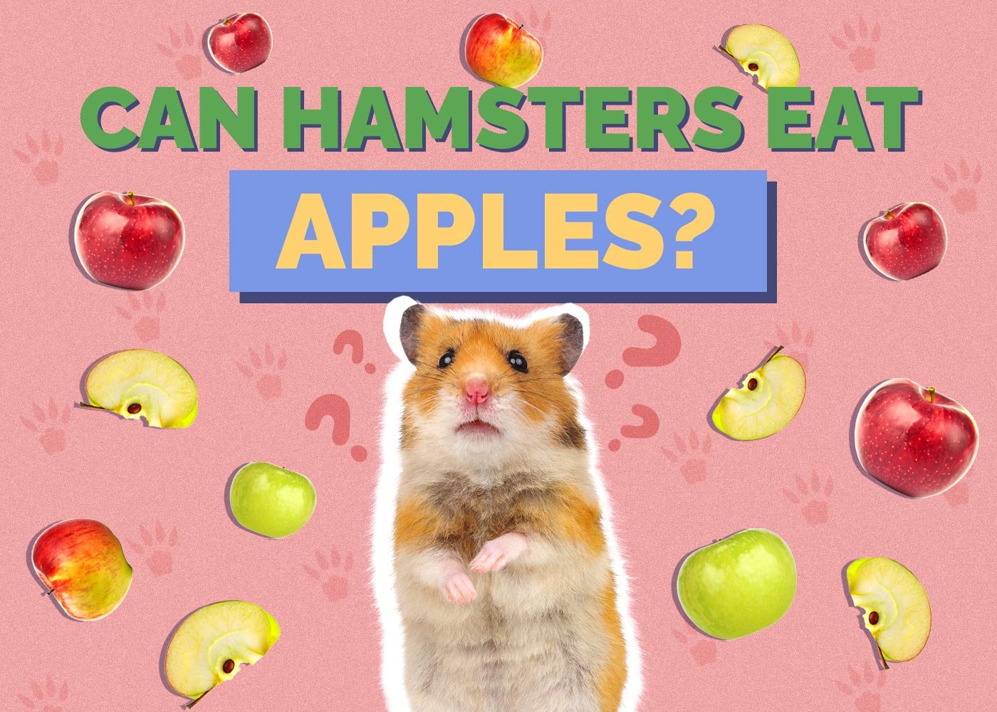 Can Hamsters Eat Apples? Vet Approved Nutrition Facts & Advice