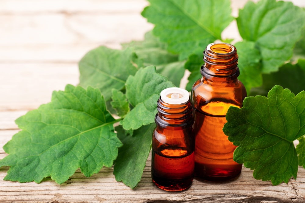 Is Patchouli Safe for Cats? Vet-Approved Facts & Explanation