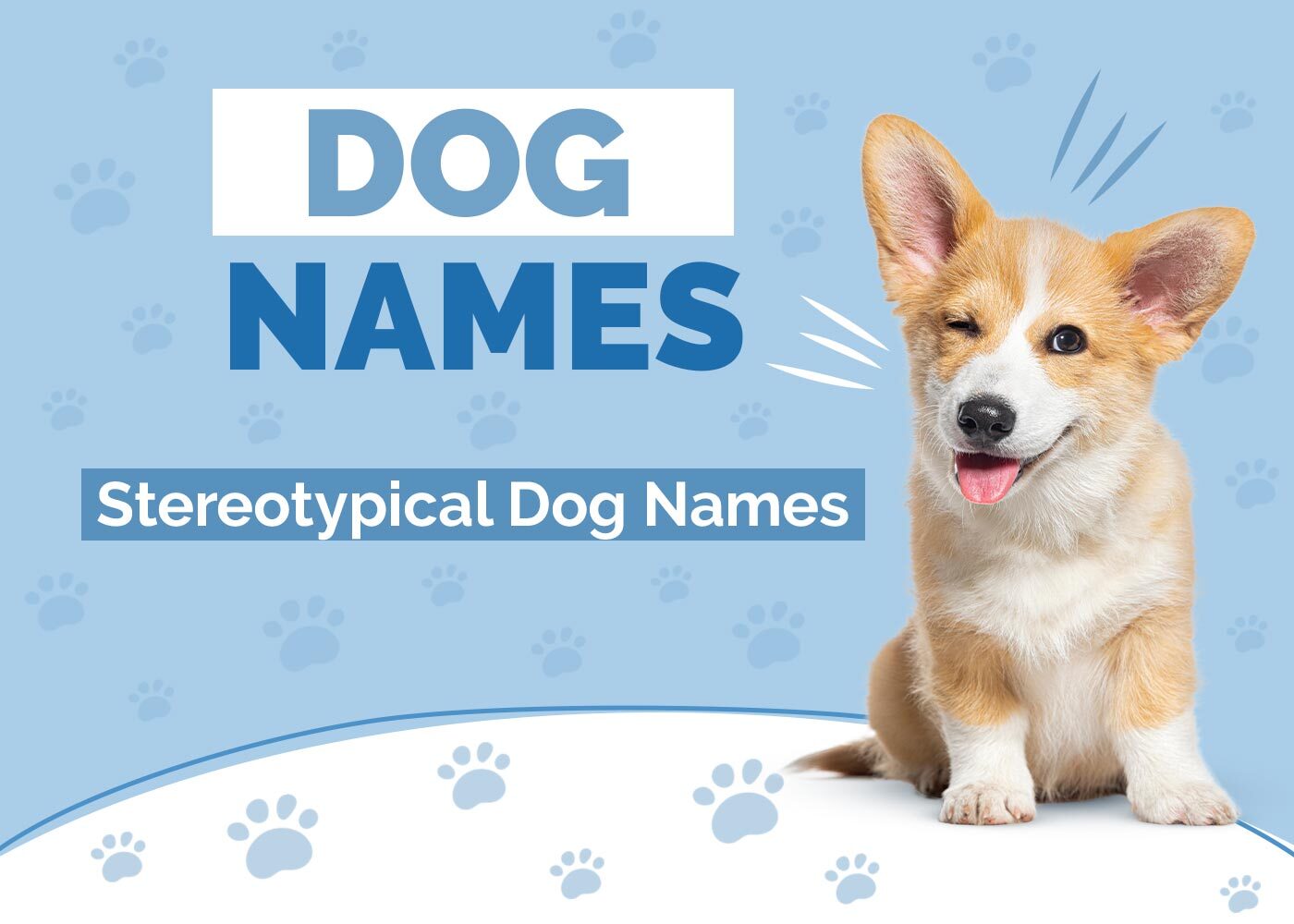 Stereotypical Dog Names
