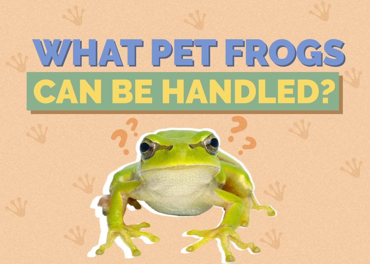 What Pet Frogs Can Be Handled: 6 Vet-Approved Species (With Pictures