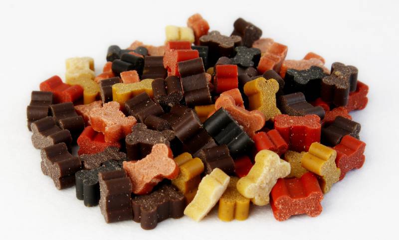 Colorful dog treats in the form of bones on a white background