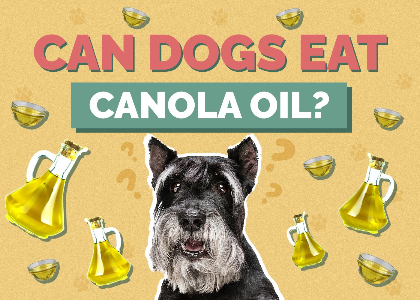 Can Dogs Eat Canola Oil? Vet-Verified Facts & FAQ