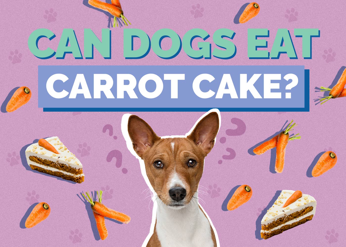 Can Dogs Eat Carrot Cake? Vet-Approved Nutritional Guide
