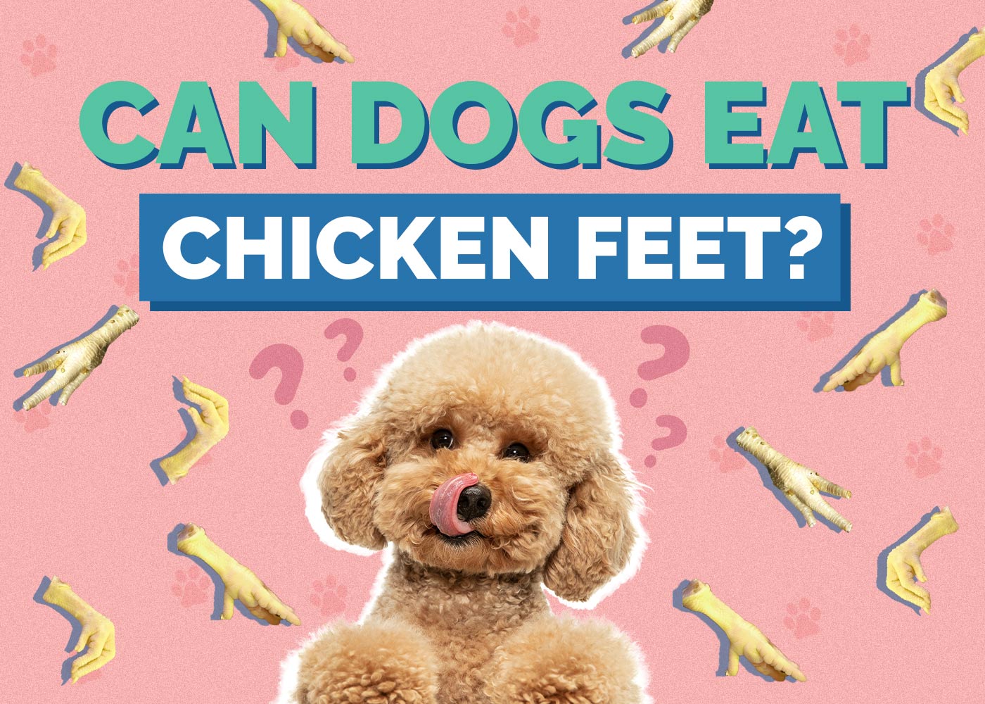 Can Dogs Eat Chicken Feet? Vet-Approved Nutrition Facts