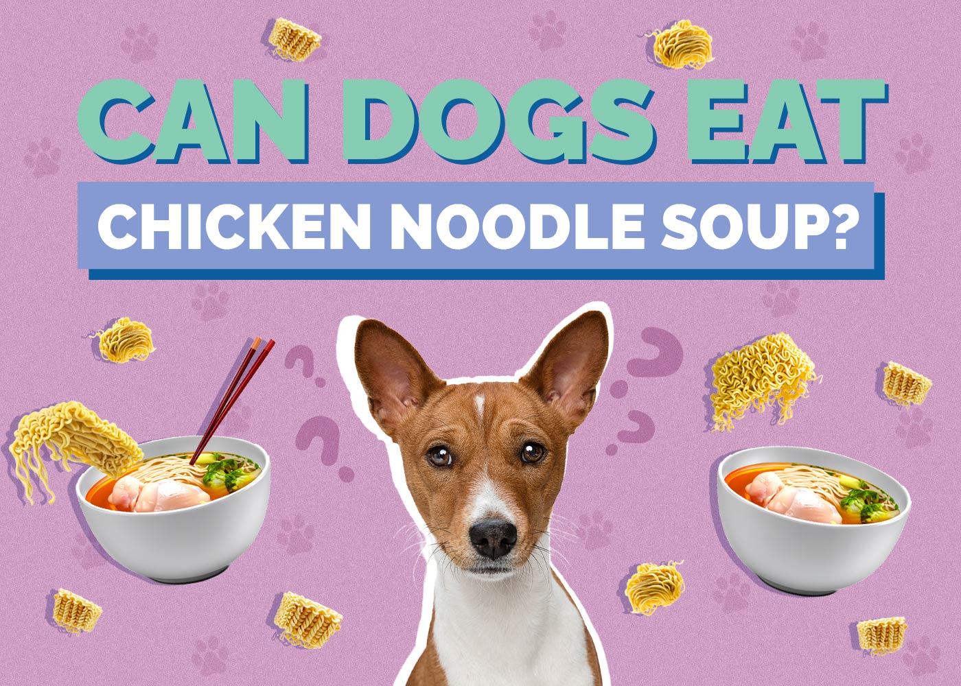 Can Dogs Eat Chicken Noodle Soup? Vet-Reviewed Nutrition Facts