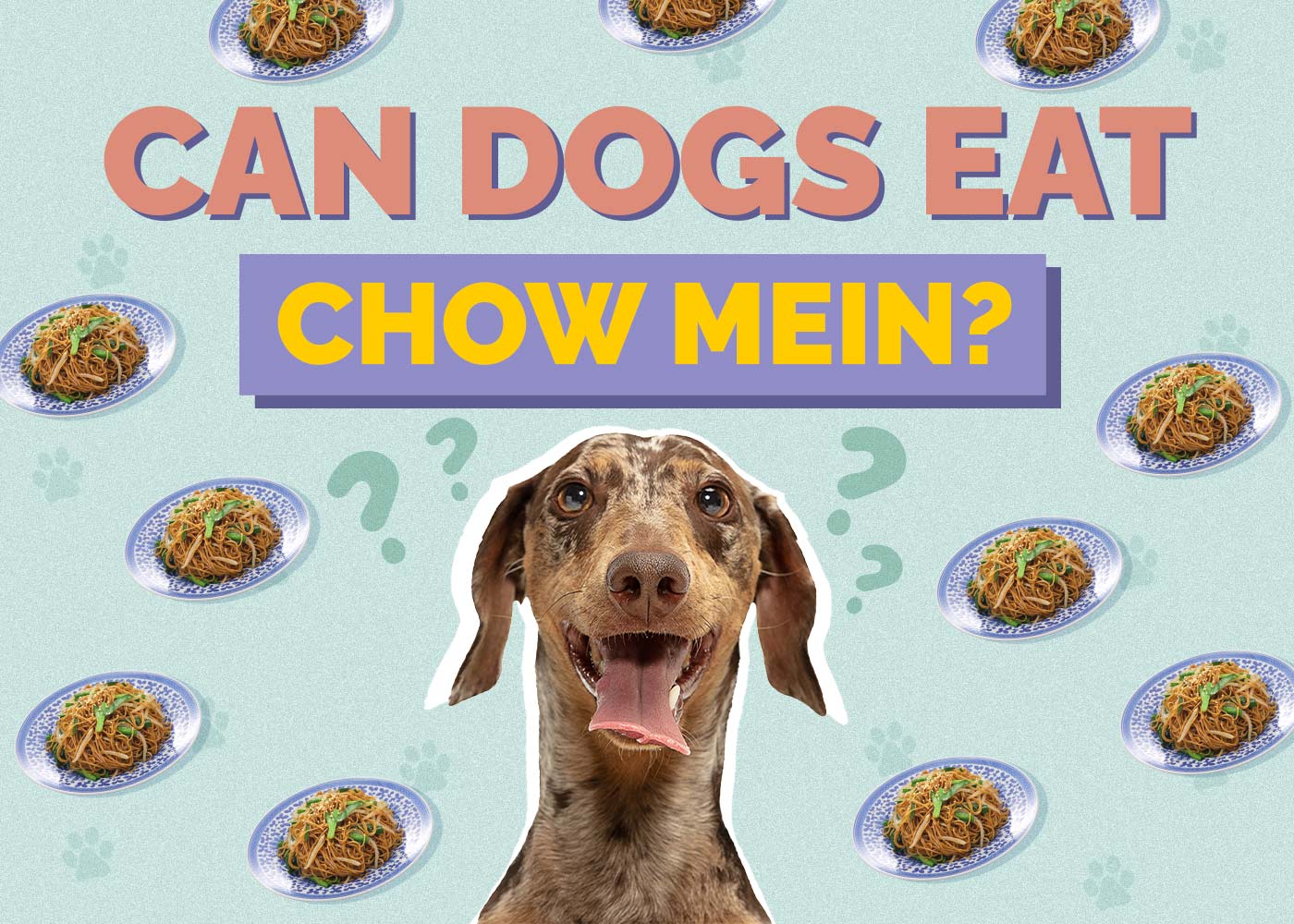 Can Dogs Eat Chow Mein? Vet Approved Facts & FAQ