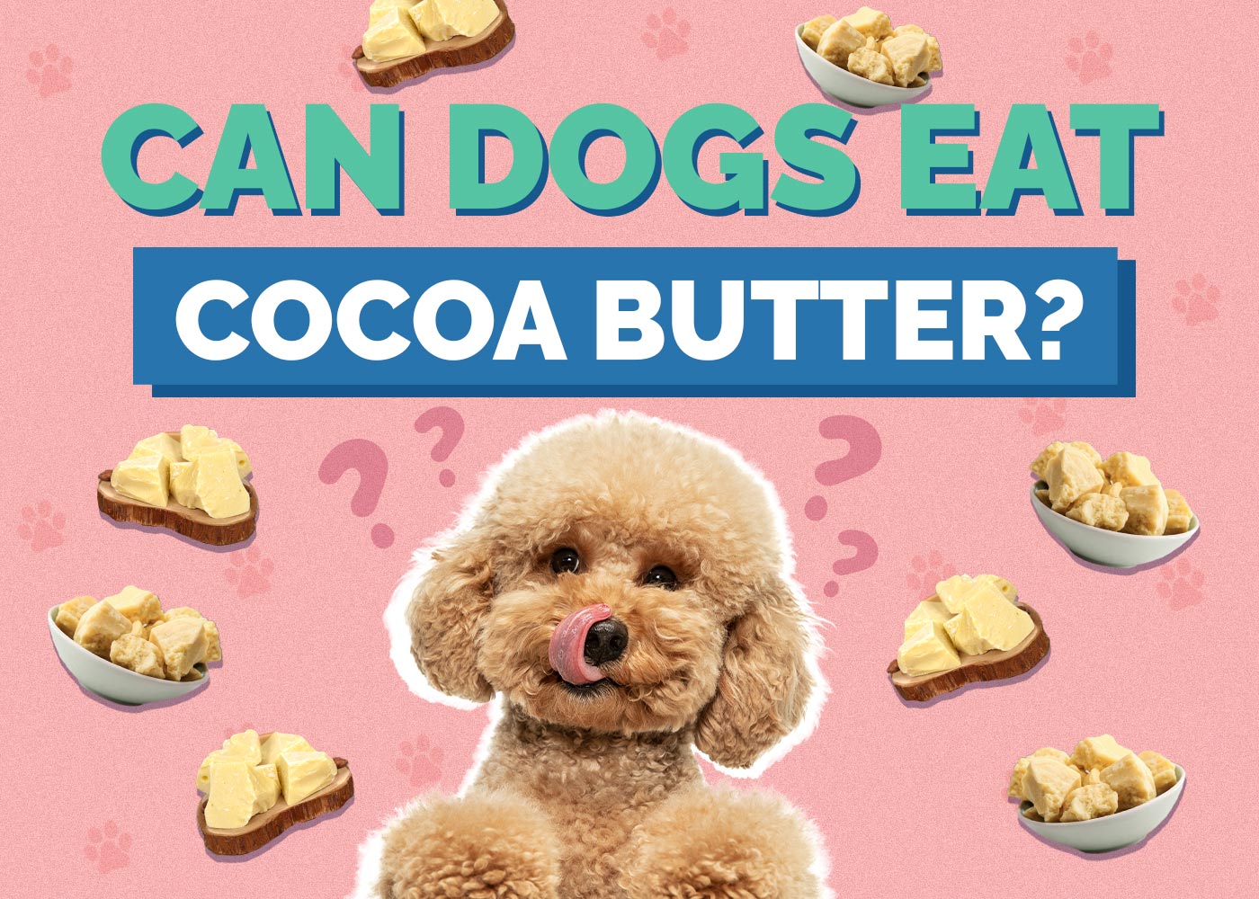 Can Dogs Eat Cocoa Butter? Vet-Approved Facts & FAQ