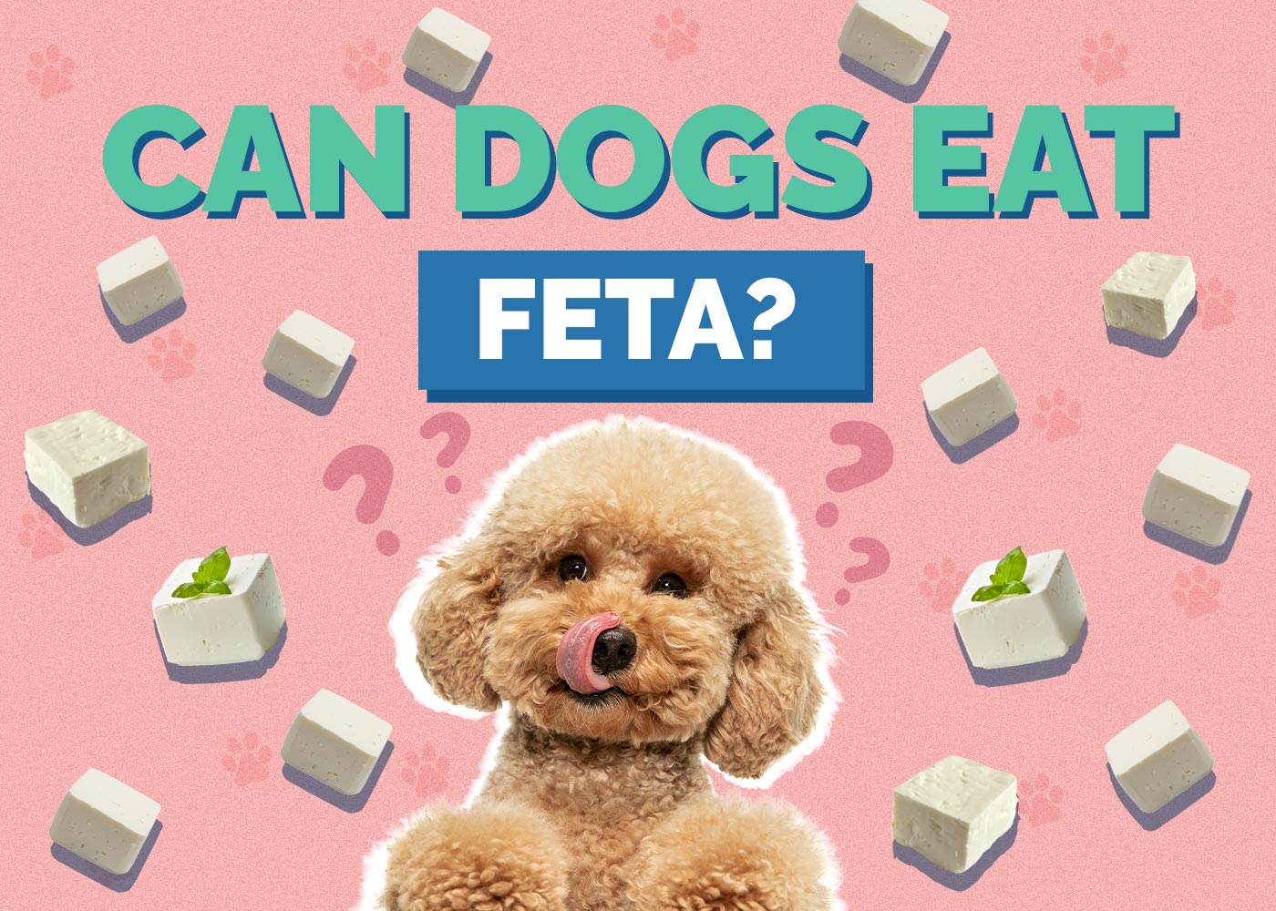 Can Dogs Eat Feta? Vet-Approved Facts & FAQ