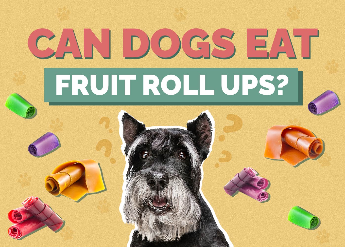 Can Dogs Eat Fruit Roll-Ups? Vet-Approved Nutriotional Facts