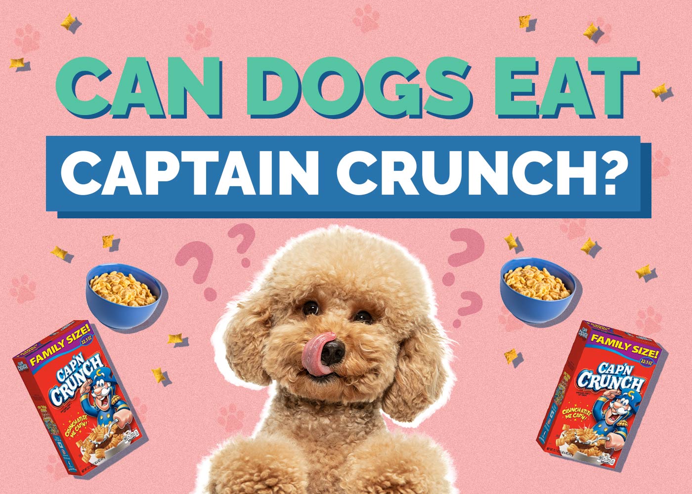Can Dogs Eat Captain Crunch? Vet-Reviewed Advice