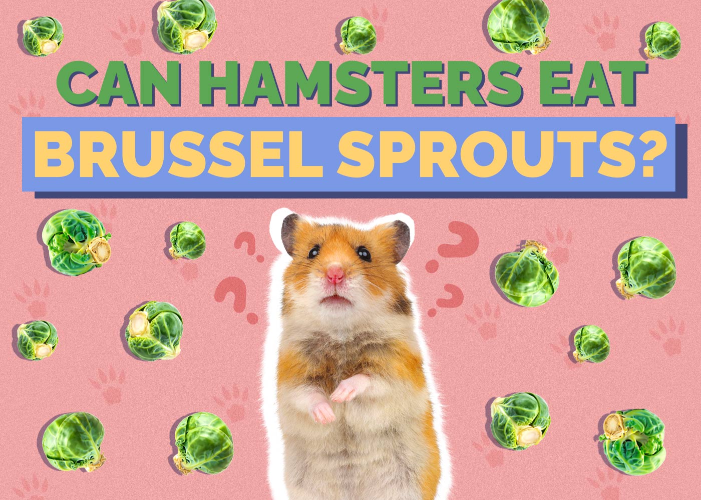 Can Hamsters Eat Brussels Sprouts? Vet Approved Facts & FAQ