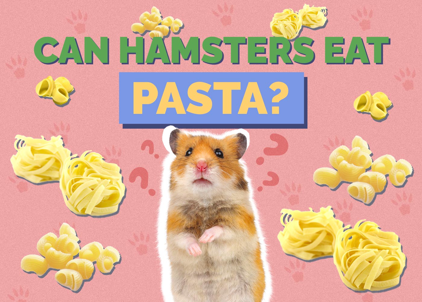 Can Hamsters Eat Pasta? Vet-Approved Facts & FAQ