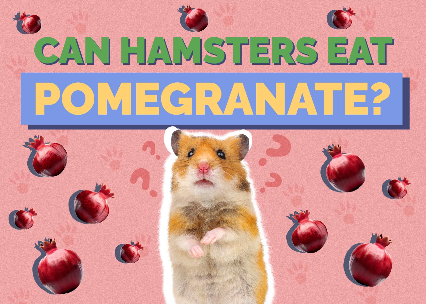 Can Hamsters Eat Pomegranate? Vet Reviewed Facts & FAQ