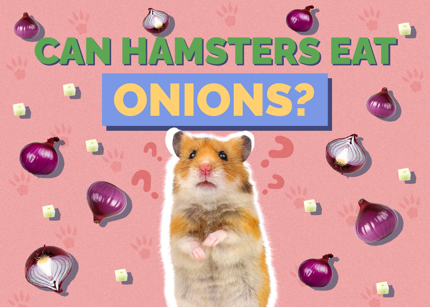 Can Hamsters Eat Onions? Vet Approved Facts & FAQ