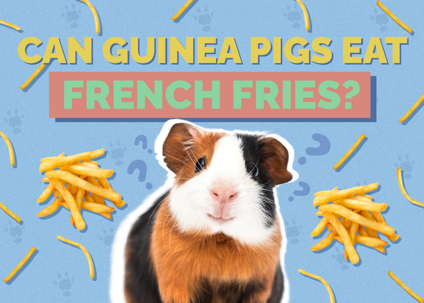Can Guinea Pigs Eat French Fries? Vet-Approved Facts & Safety Guide