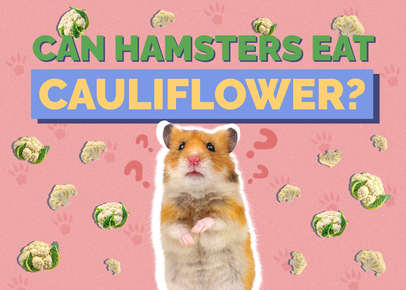 Can Hamsters Eat Cauliflower? Vet Approved Facts & FAQ