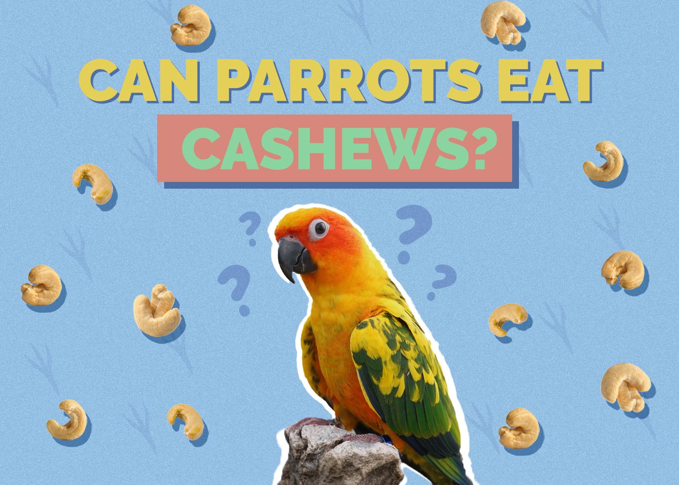 Can Parrots Eat Cashews? Vet-Reviewed Health Considerations