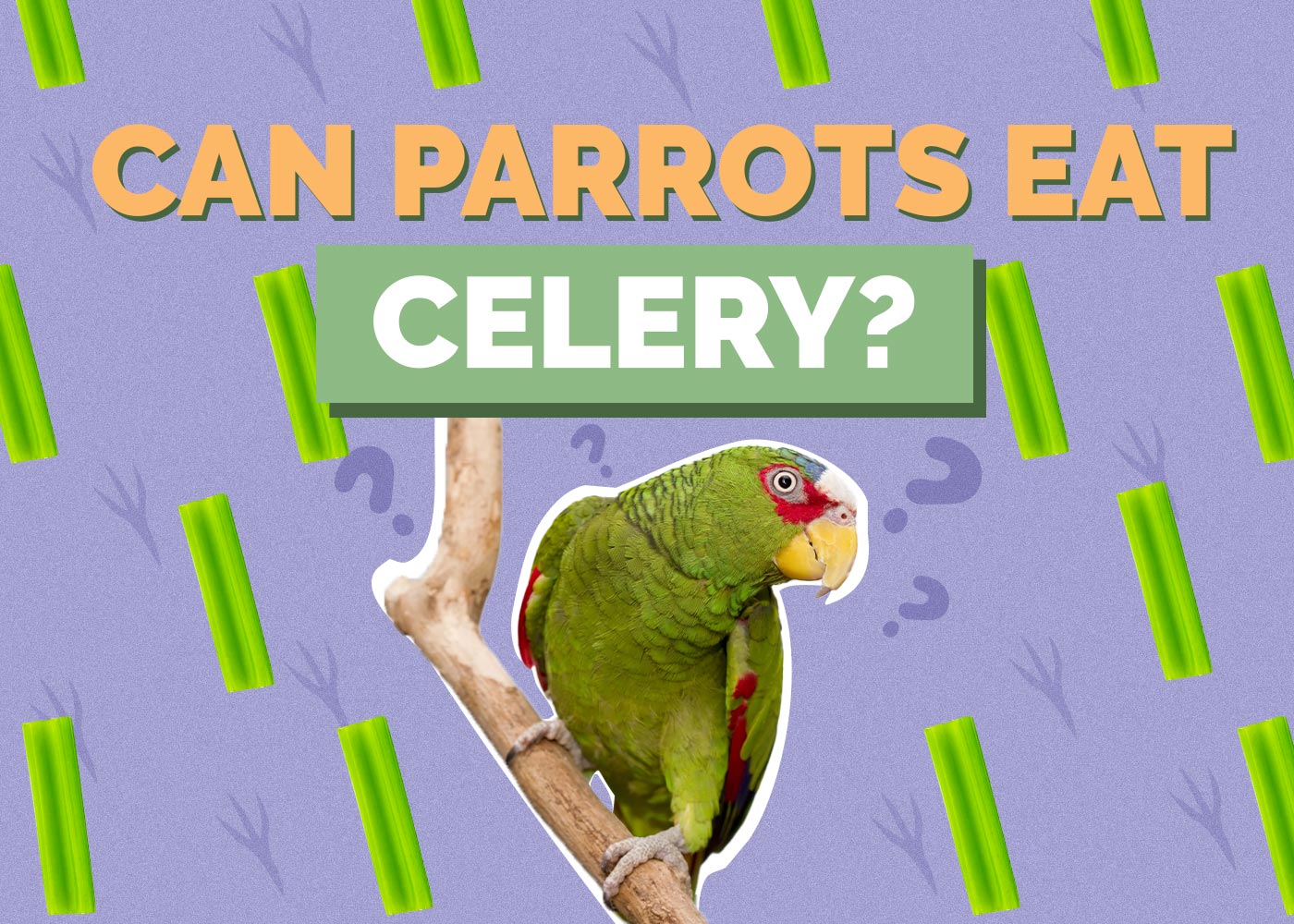 Can Parrots Eat Celery? Vet-Verified Nutrition Facts & FAQ
