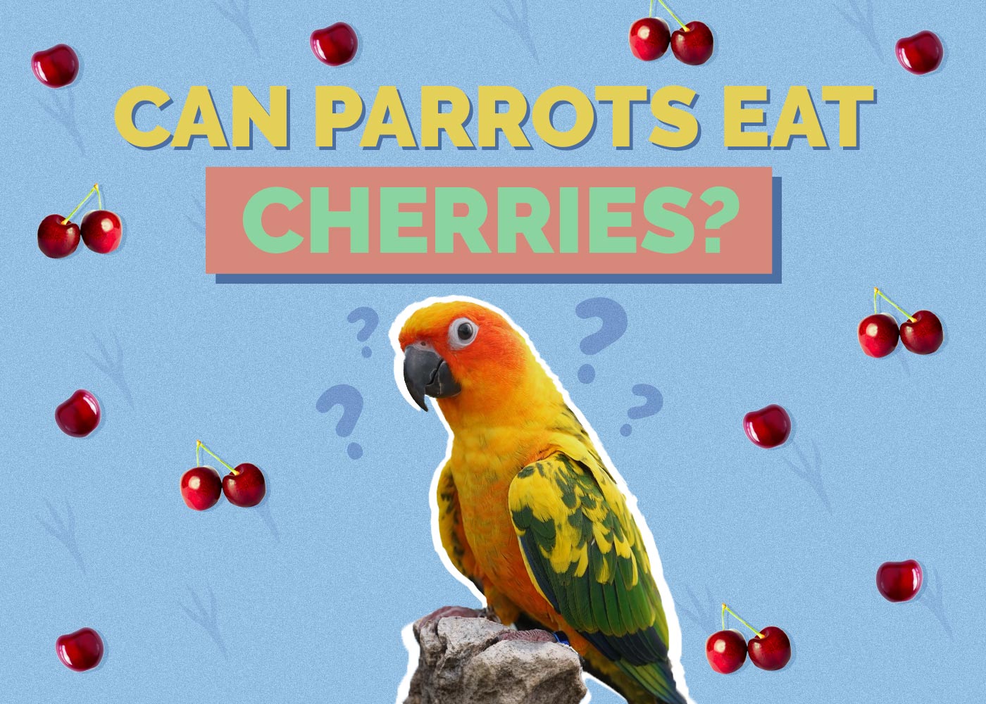 Can Parrots Eat Cherries? Vet Reviewed Nutrition Facts