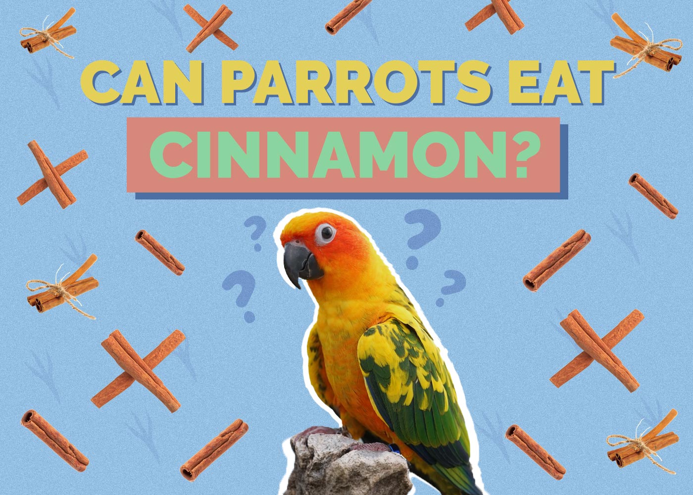 Can Parrots Eat Cinnamon? Vet-Reviewed Health Concerns