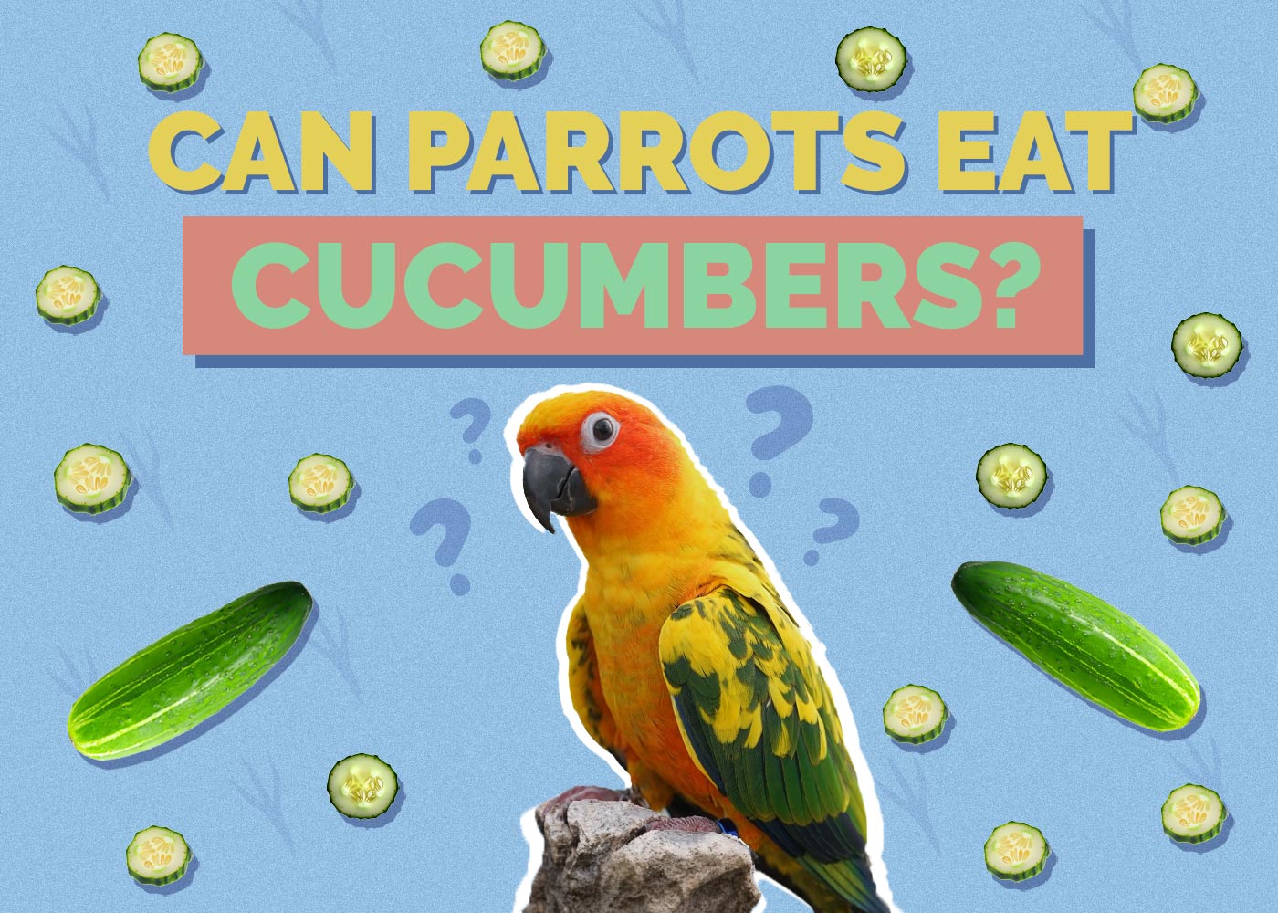 Can Parrots Eat Cucumbers? Vet Approved Nutrition Facts