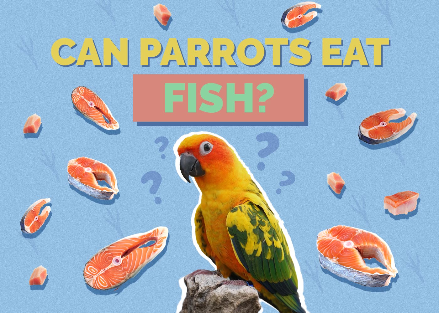 Can Parrots Eat Fish? Vet Reviewed Health Concerns