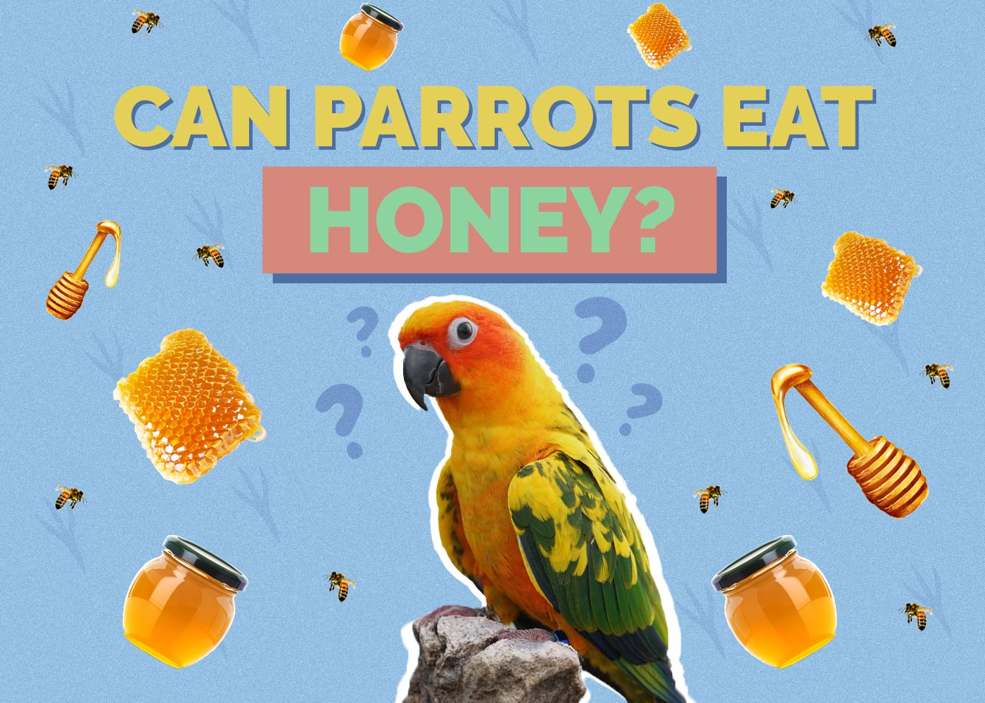 Can Parrots Eat Honey? Vet Reviewed Nutrition Facts & FAQ