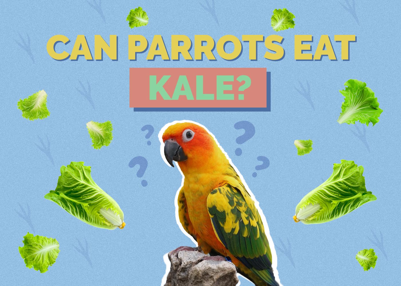 Can Parrots Eat Kale? Vet-Reviewed Health Concerns