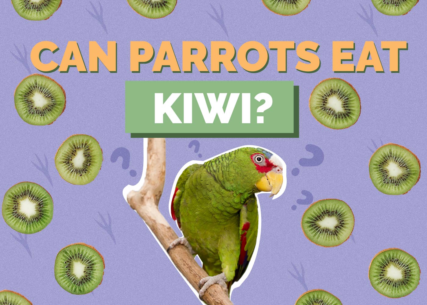Can Parrots Eat Kiwi? Vet Approved Facts & FAQ