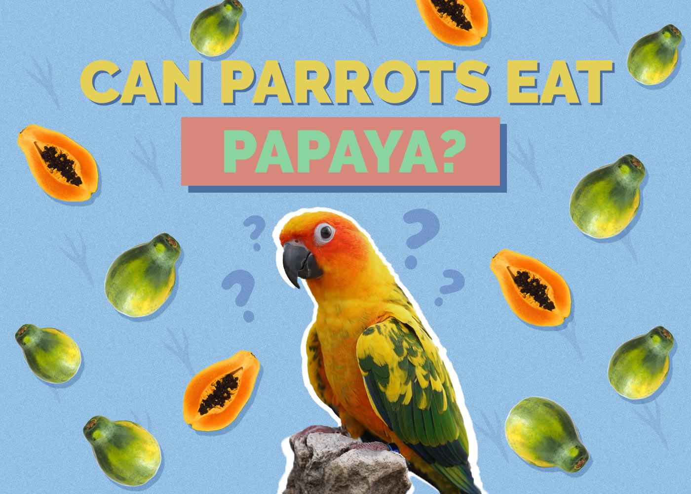 Can Parrots Eat Papaya? Vet-Reviewed Nutrition Guide