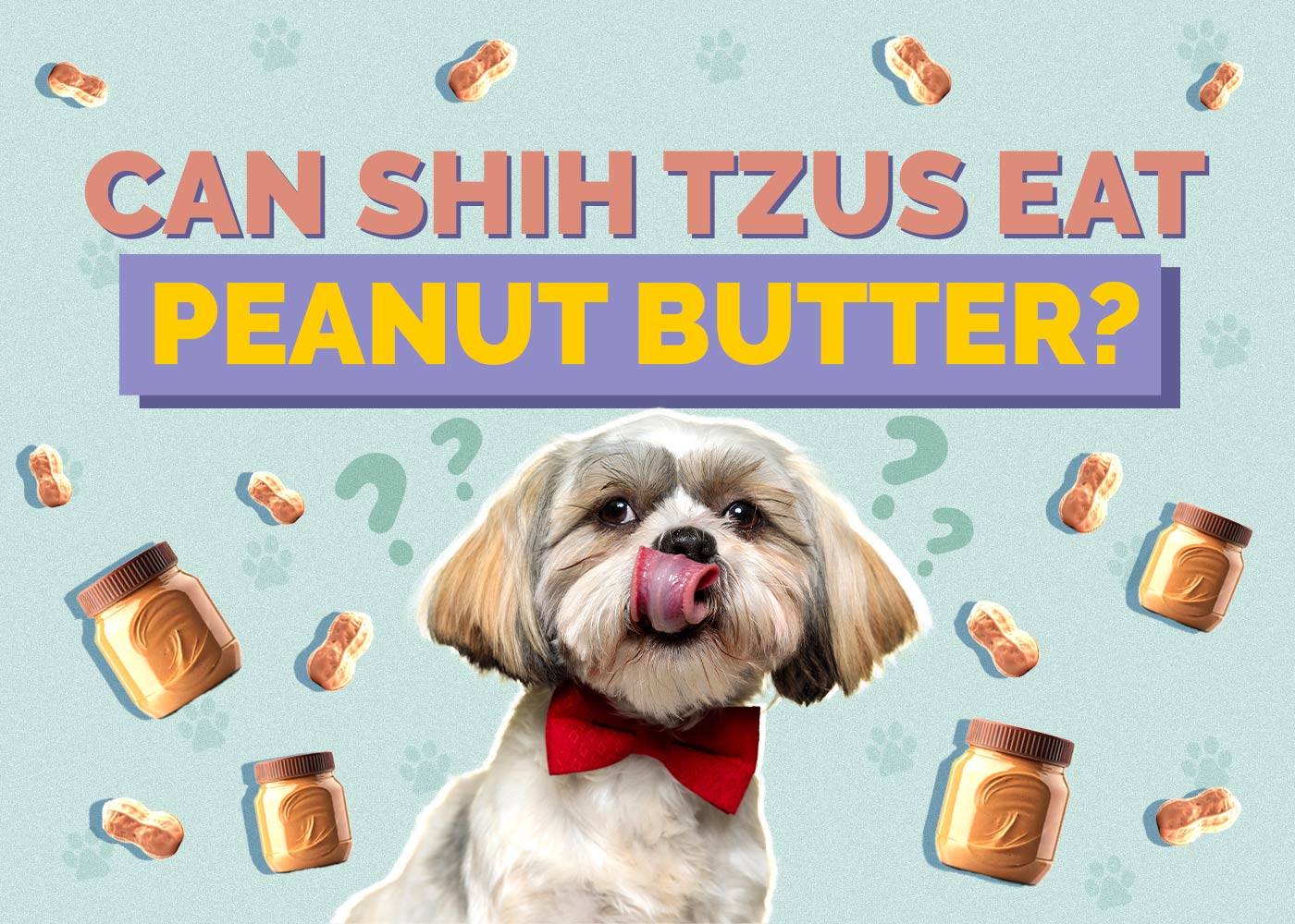 Can Shih Tzus Eat Peanut Butter? Vet Approved Facts & Safety Guide
