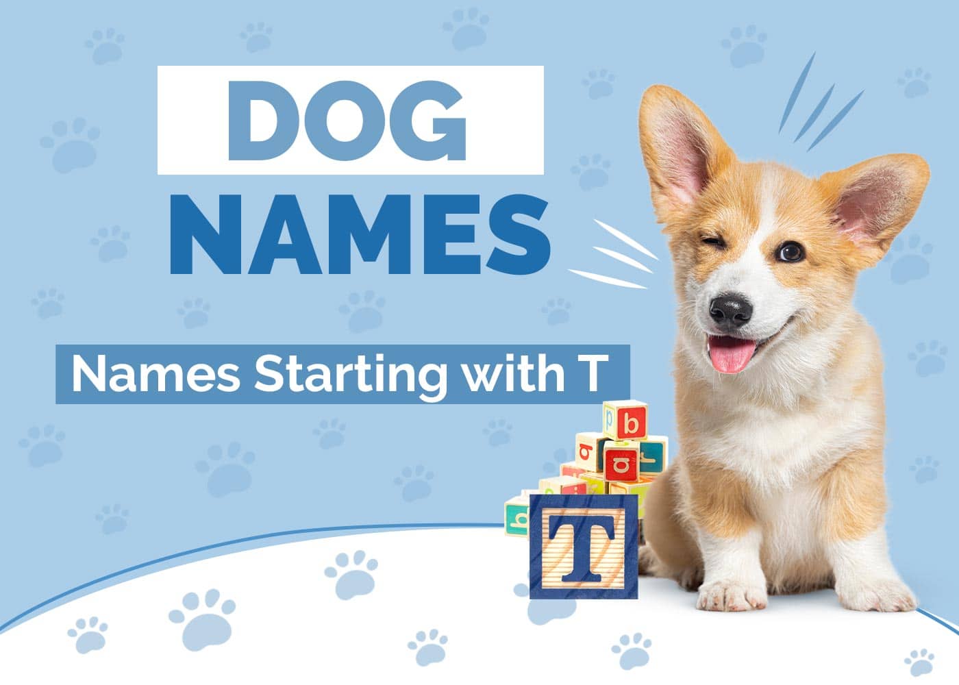 370+ Dog Names Starting With T for Your Terrific Pup
