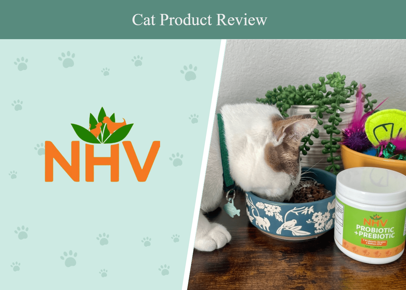NHV Natural Pet Supplements Probiotic + Prebiotic Review 2026: Our Expert’s Opinion