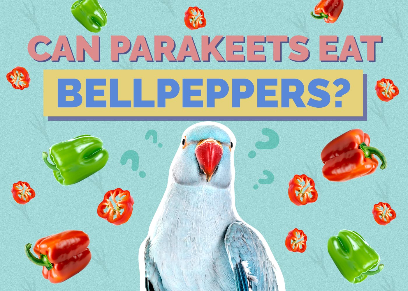 Can Parakeets Eat Bell Peppers? Vet-Approved Nutrition Facts & FAQ