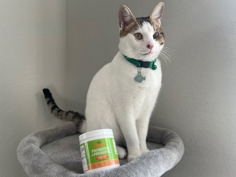 NHV Probiotic + Prebiotic - makoa on cat tree with the product