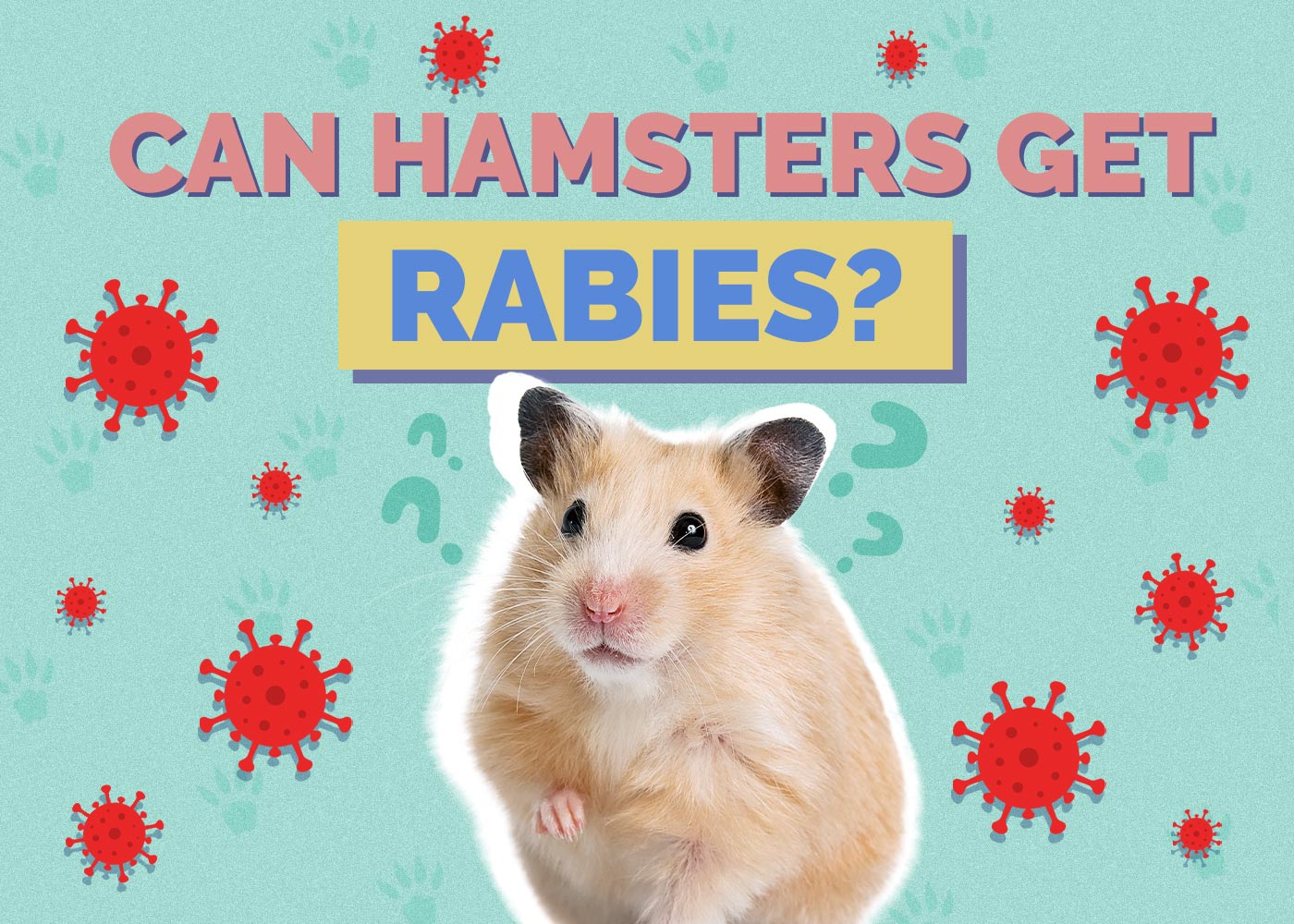 Can Hamsters Have Rabies? Our Vet Explains