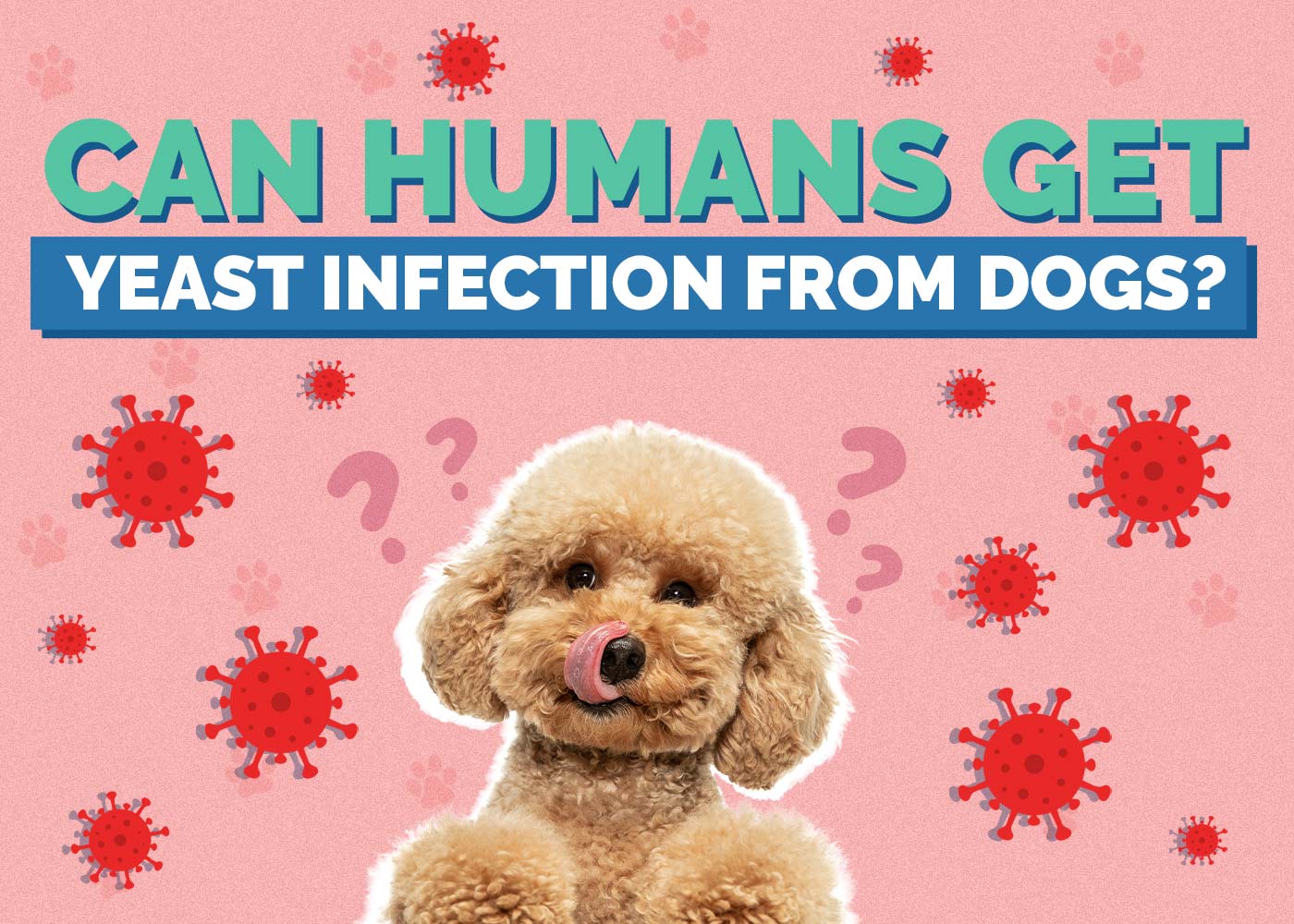 Can Humans Get Yeast Infection From Dogs? Vet Approved Facts