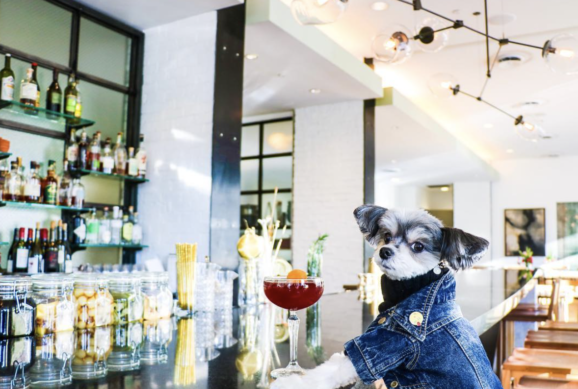 Andaz Savannah