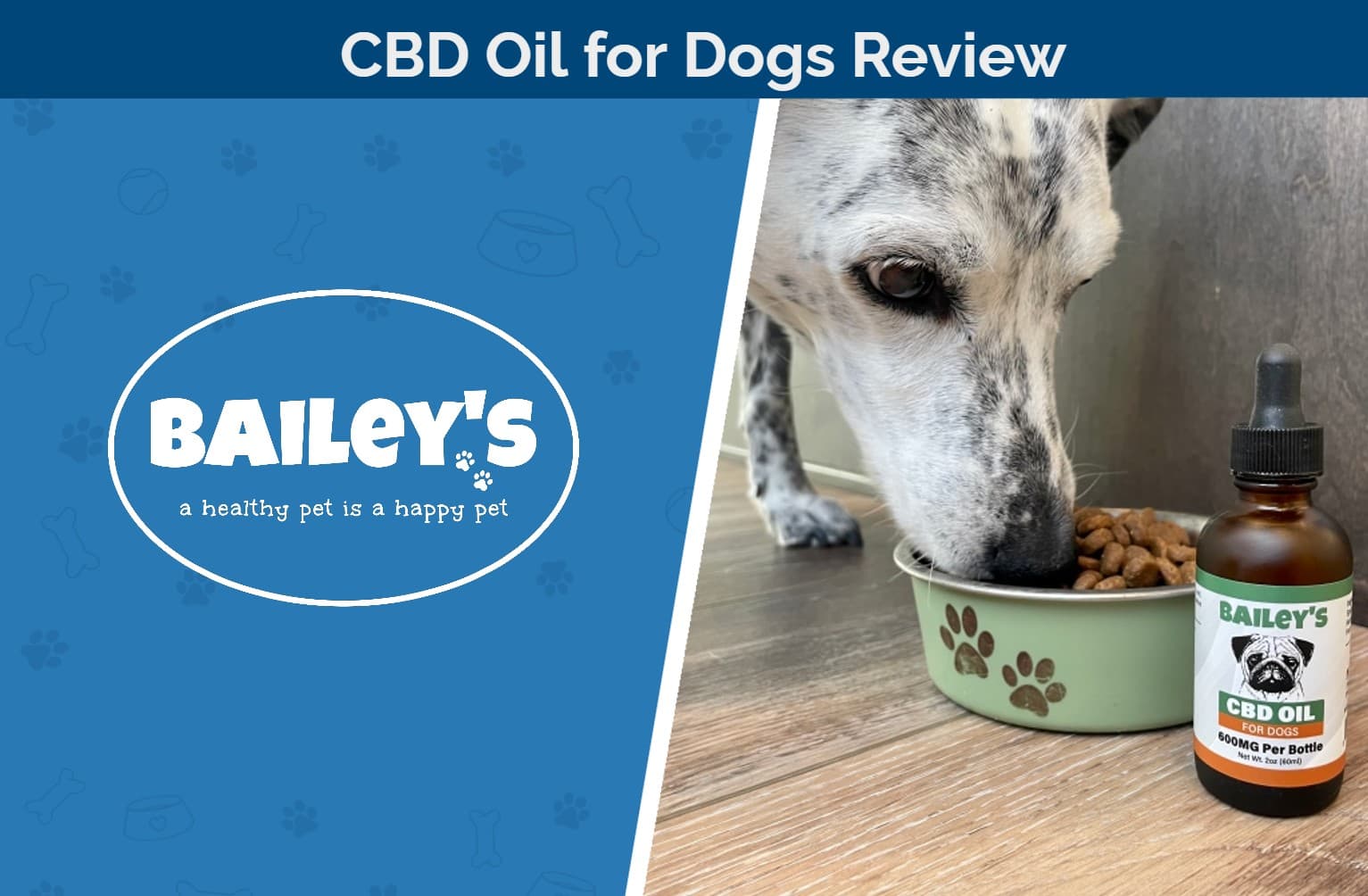 Bailey’s CBD Oil for Dogs Review: Our Expert’s Opinion