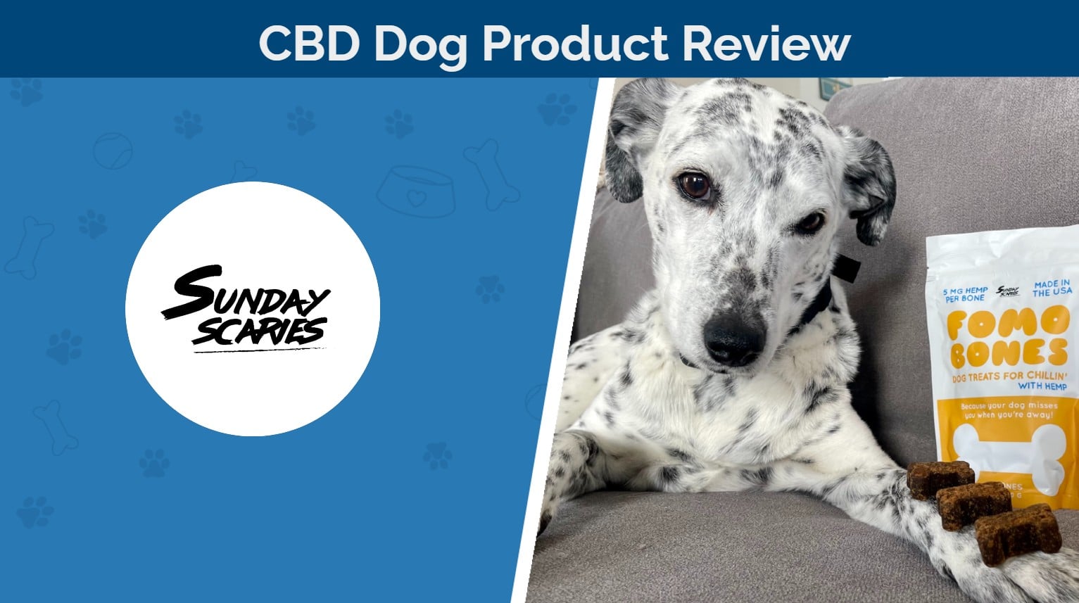 Sunday Scaries FOMO Bones Review 2026: An Expert Guide