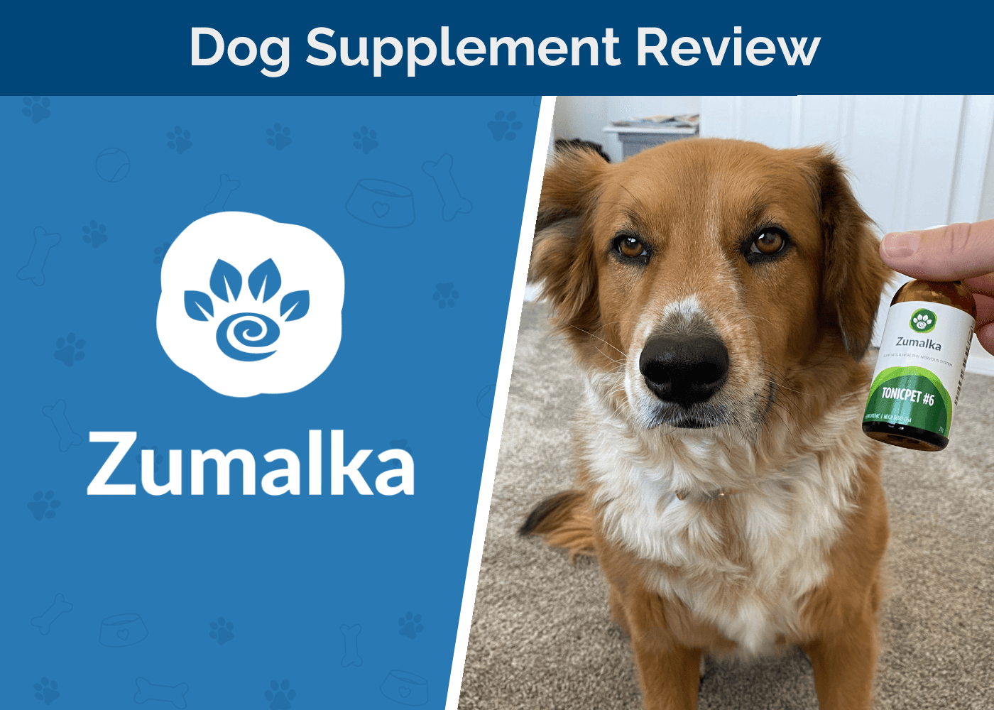 Zumalka Pet Product Review 2026: An Expert Guide