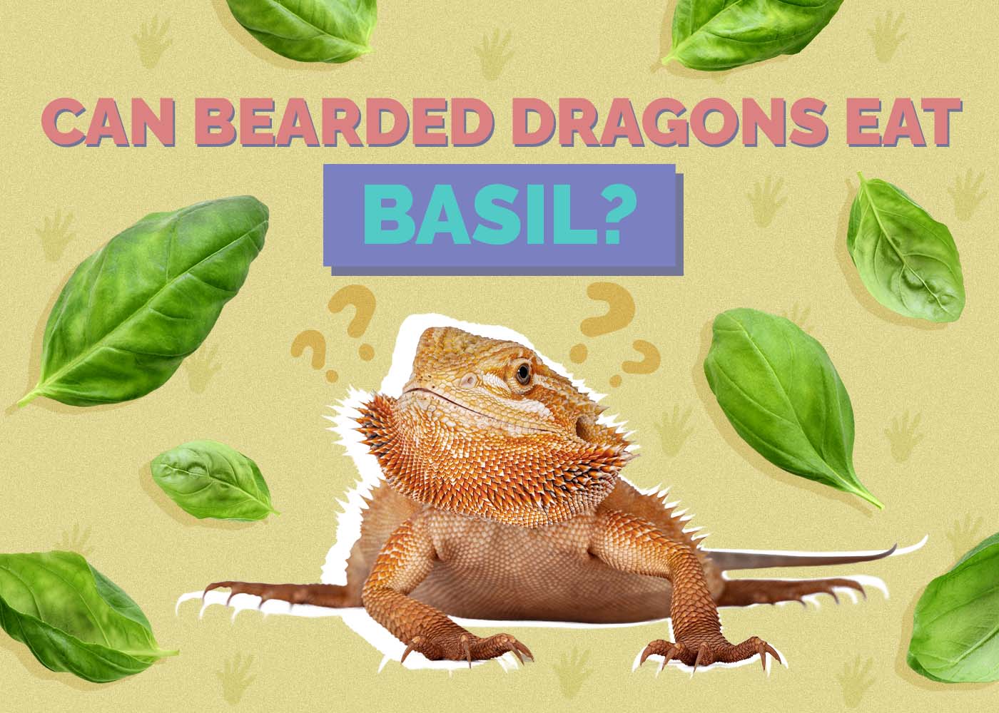 Can Bearded Dragons Eat Basil? Vet-Approved Benefits & Tips