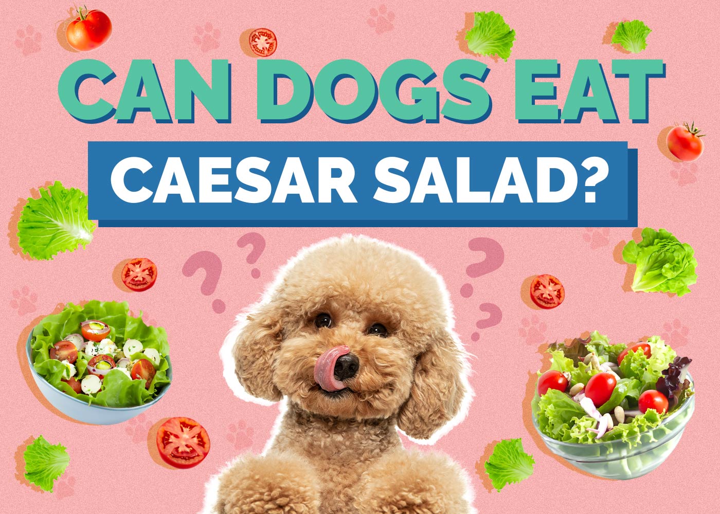 Can Dogs Eat Caesar Salad? Vet-Reviewed Health Facts