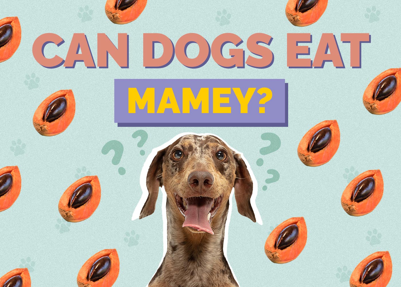 Can Dogs Eat Mamey? Vet-Approved Facts & FAQ