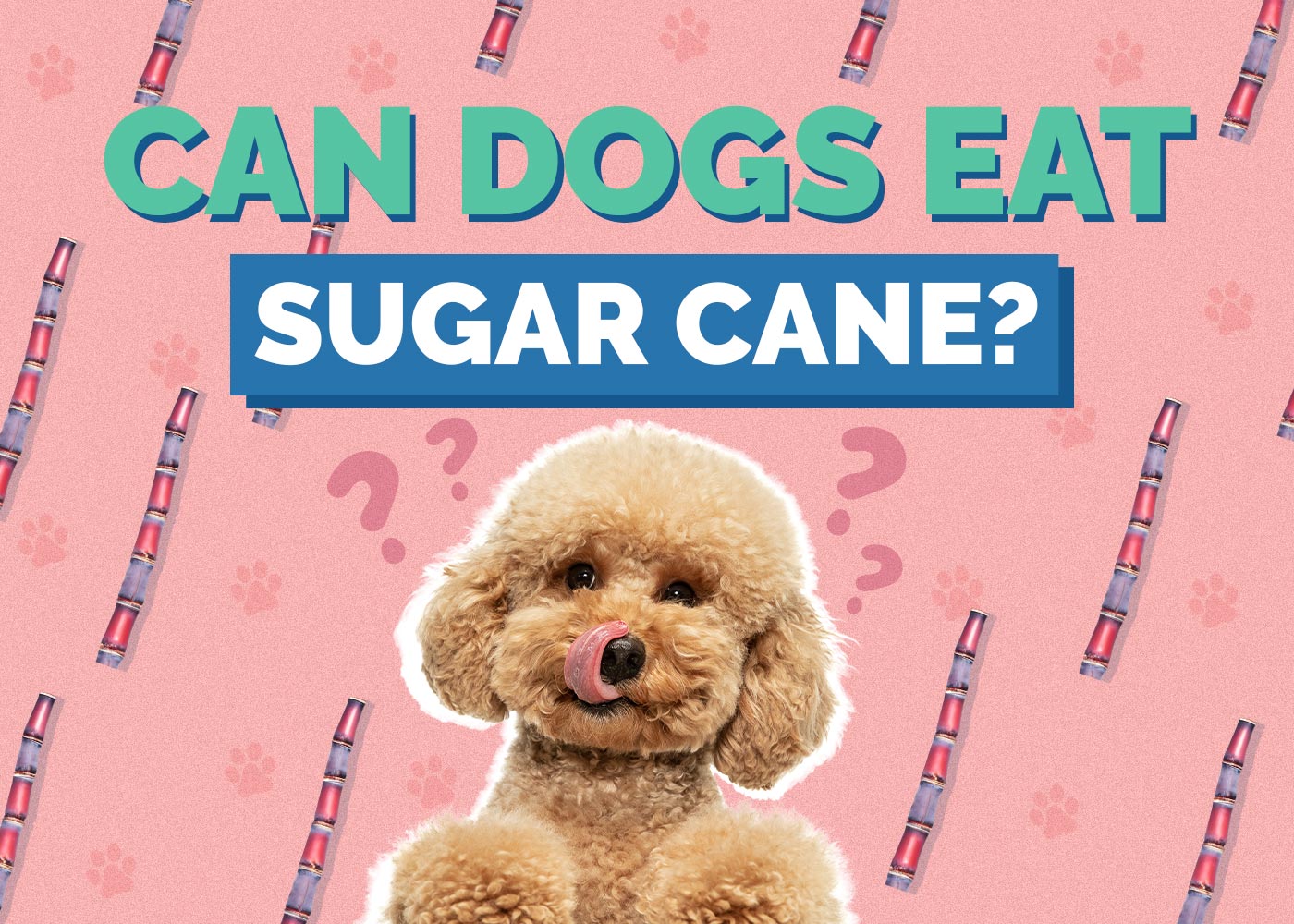 Can Dogs Eat Sugar Cane? Vet-Reviewed Facts & FAQ