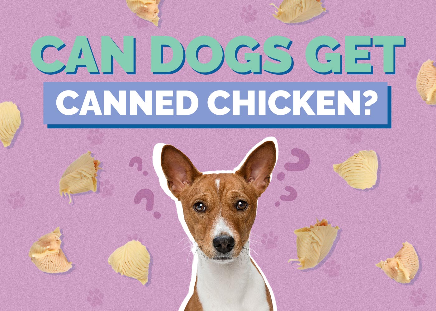 Can Dogs Eat Canned Chicken? Vet-Reviewed Facts & FAQ